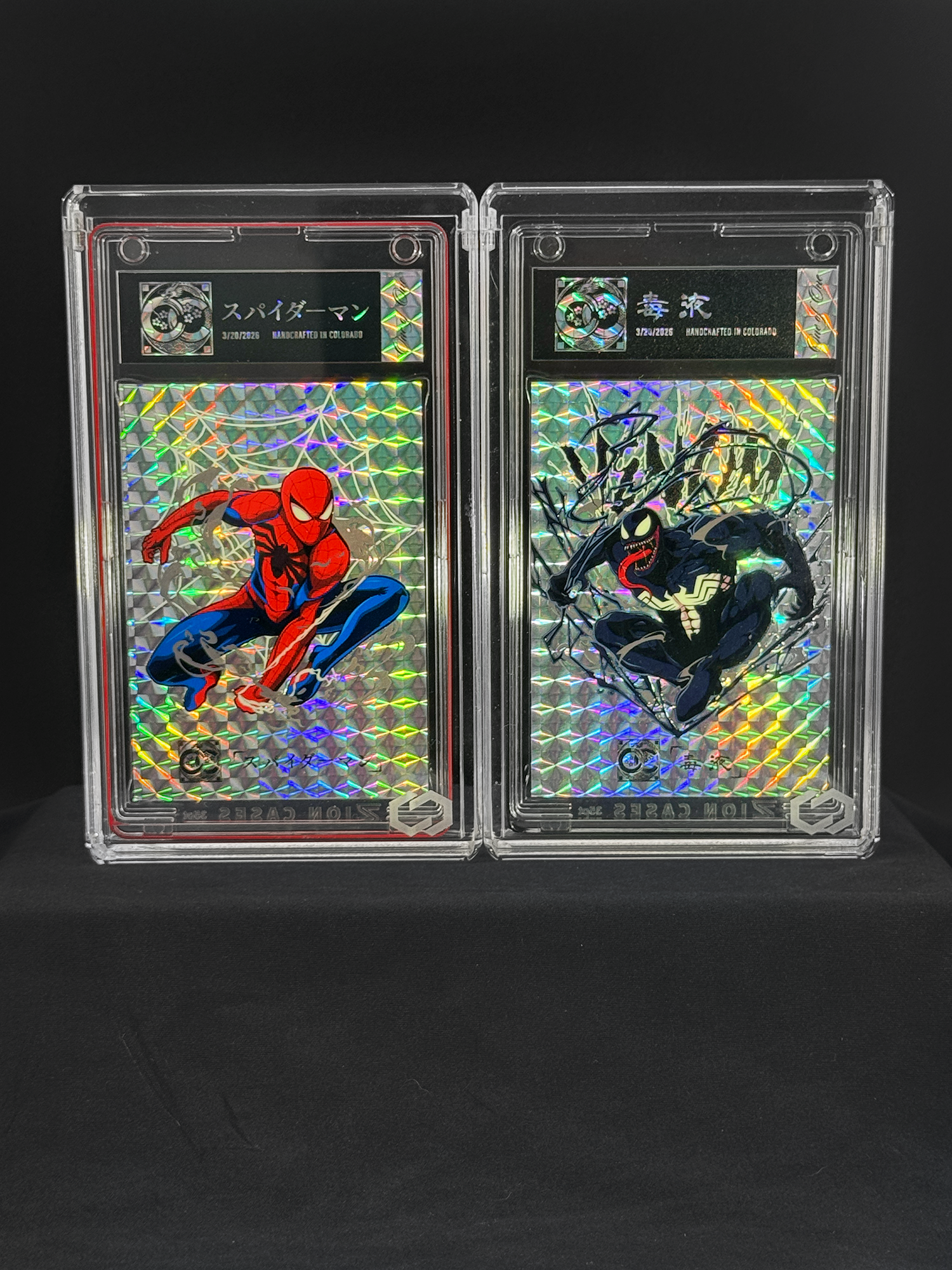 Duo: Spider-Man & Venom